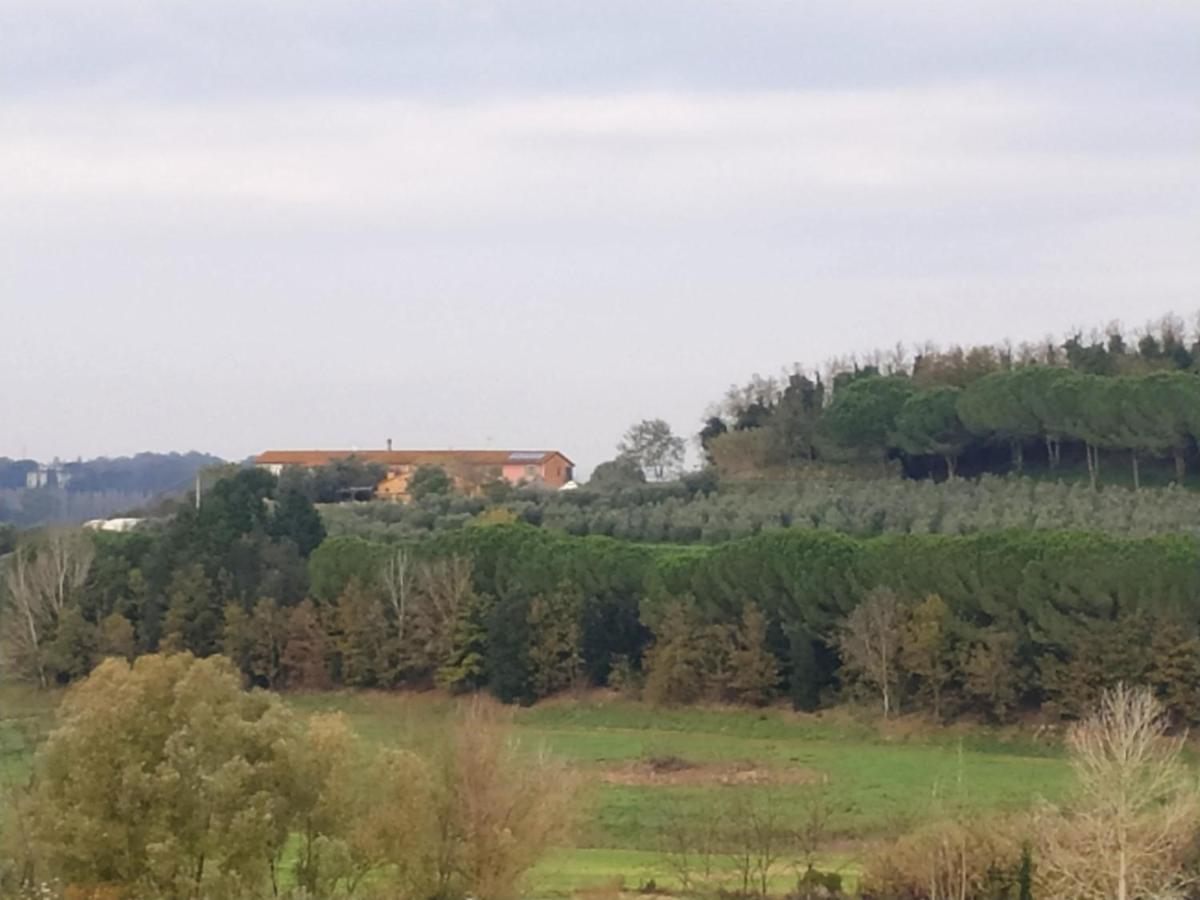 Agriturismo L'Isola Crespina Buitenkant foto