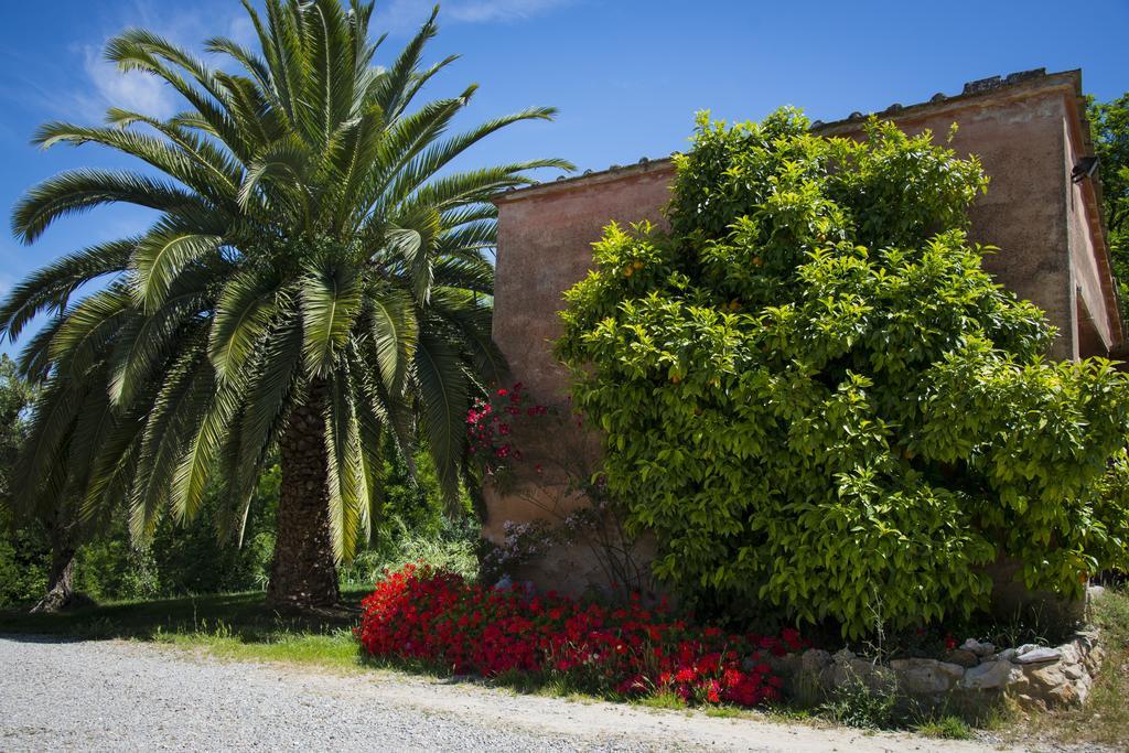 Agriturismo L'Isola Crespina Kamer foto