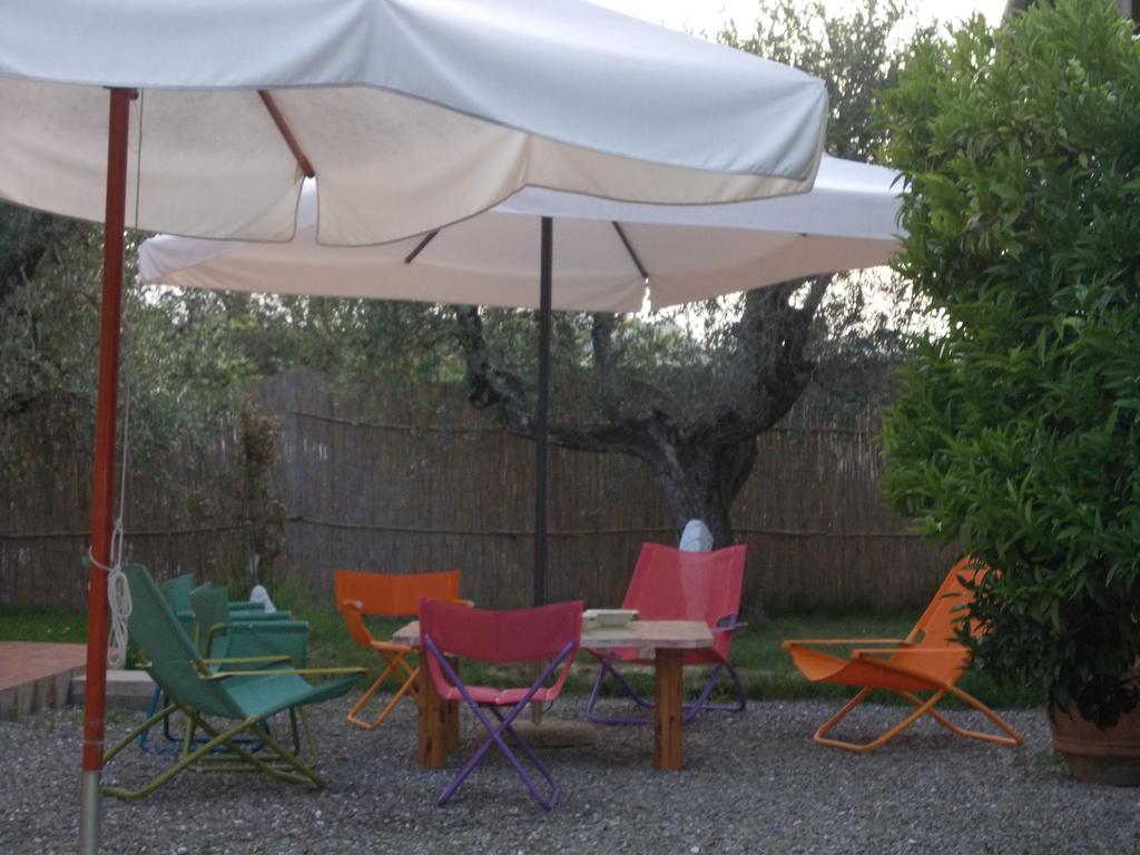 Agriturismo L'Isola Crespina Kamer foto