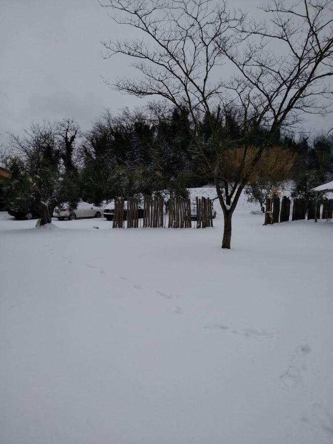 Agriturismo L'Isola Crespina Buitenkant foto